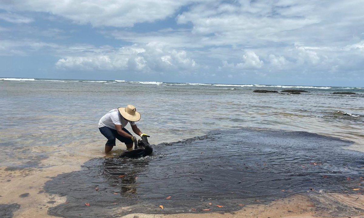 ÓLEO DE ORIGEM NÃO ESCLARECIDA JÁ ATINGIU 120 PRAIAS DA COSTA NORDESTINA (FOTO: DIVULGAÇÃO)