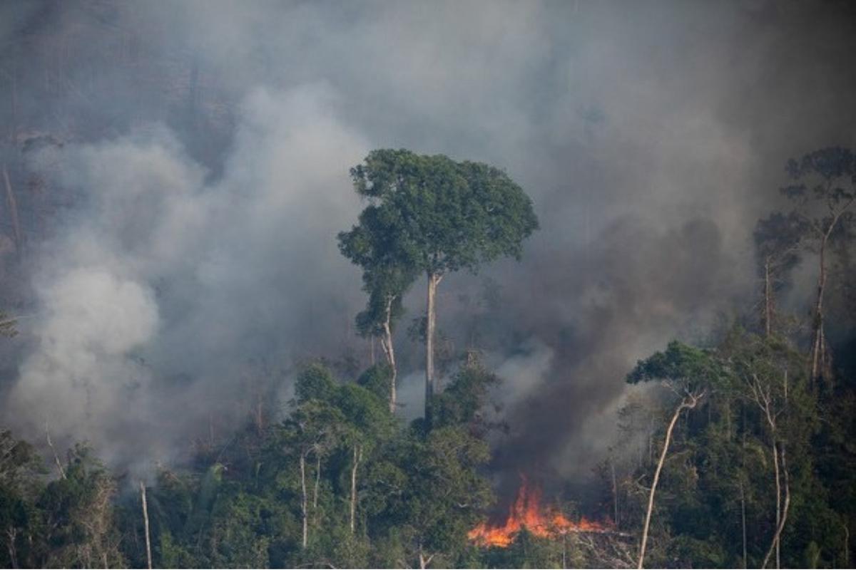 Entre os cinco municípios com maior desmatamento por quilômetro quadrado no Brasil, quatro estão no Amazonas: Apuí, Lábrea, Manicoré e Novo Aripuanã. (Foto: Divulgação)