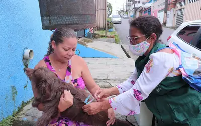 Prefeitura inicia vacinação antirrábica de cães e gatos em domicílio na zona Leste de Manaus