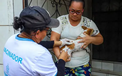 Prefeitura de Manaus segue com vacinação antirrábica em 16 bairros
