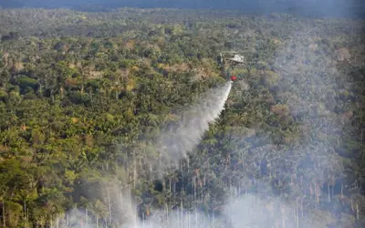 Amazonas fecha mês de setembro com redução de 20,3% dos focos de calor