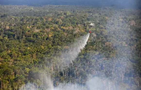 Amazonas fecha mês de setembro com redução de 20,3% dos focos de calor